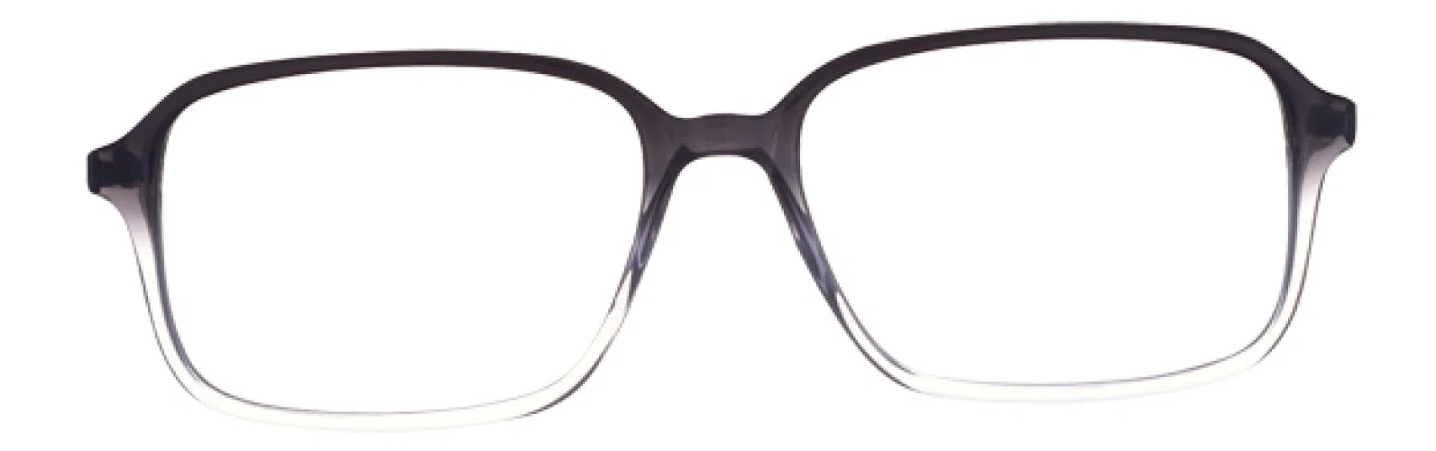 Stetson S310 Eyeglasses - view 9
